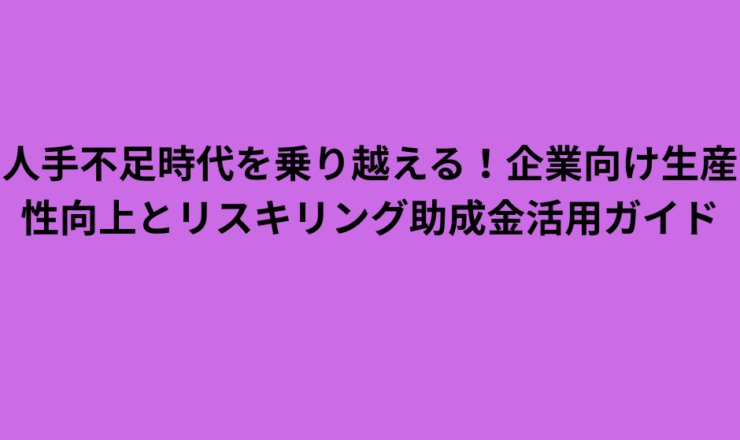 人手不足時代を乗り越える！企業向け生産性向上 リスキリング助成金活用ガイド