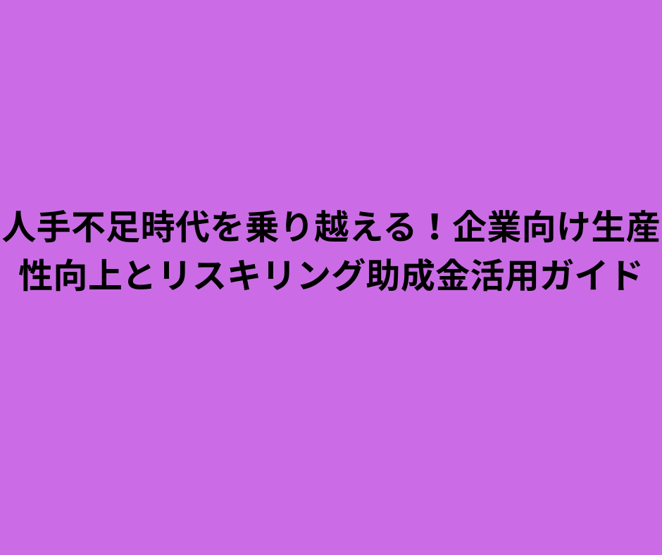人手不足時代を乗り越える！企業向け生産性向上 リスキリング助成金活用ガイド
