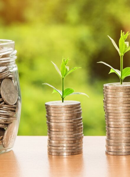 オフショア投資 ドミニオンとは？評判・商品・他社比較まで徹底解説【2025年最新版】